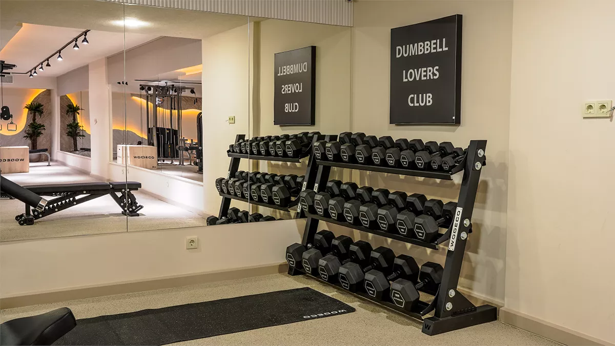 losgym (2)