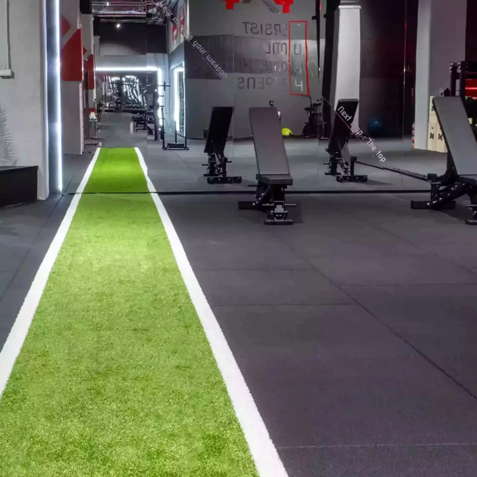 pro kızak halı, sled track, pro kızak, kızak halı,