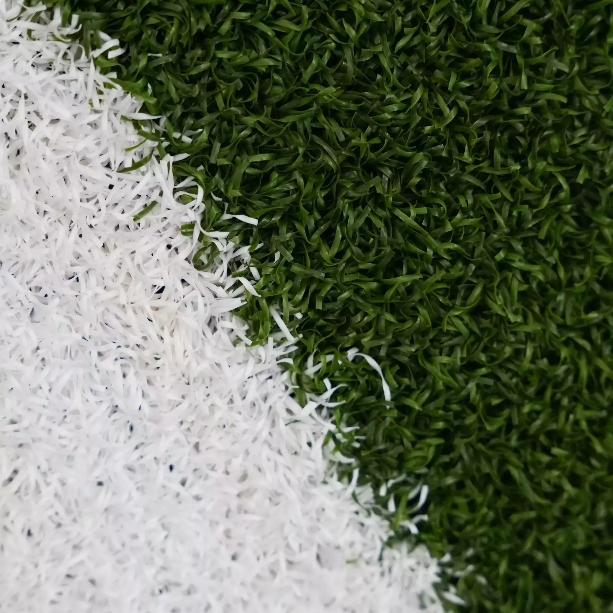 pro kızak halı, sled track, pro kızak, kızak halı,