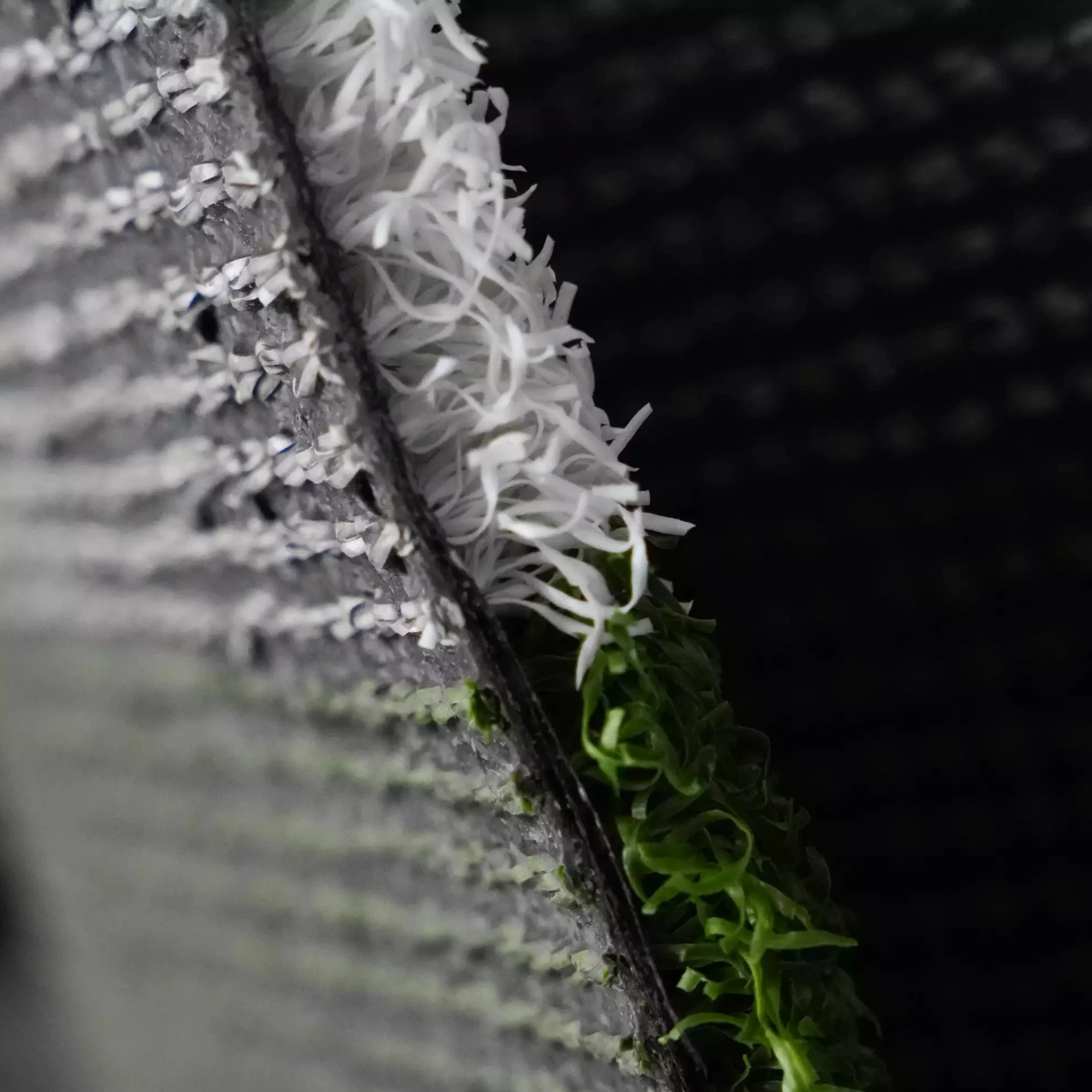 pro kızak halı, sled track, pro kızak, kızak halı,