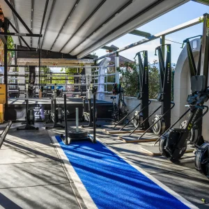 kızak halısı zenova referans