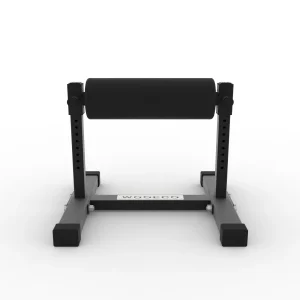 leg squat, single leg squat,