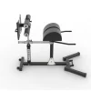 glute hamstring developer, ghd, sırt makinesi, kalça makinesi,