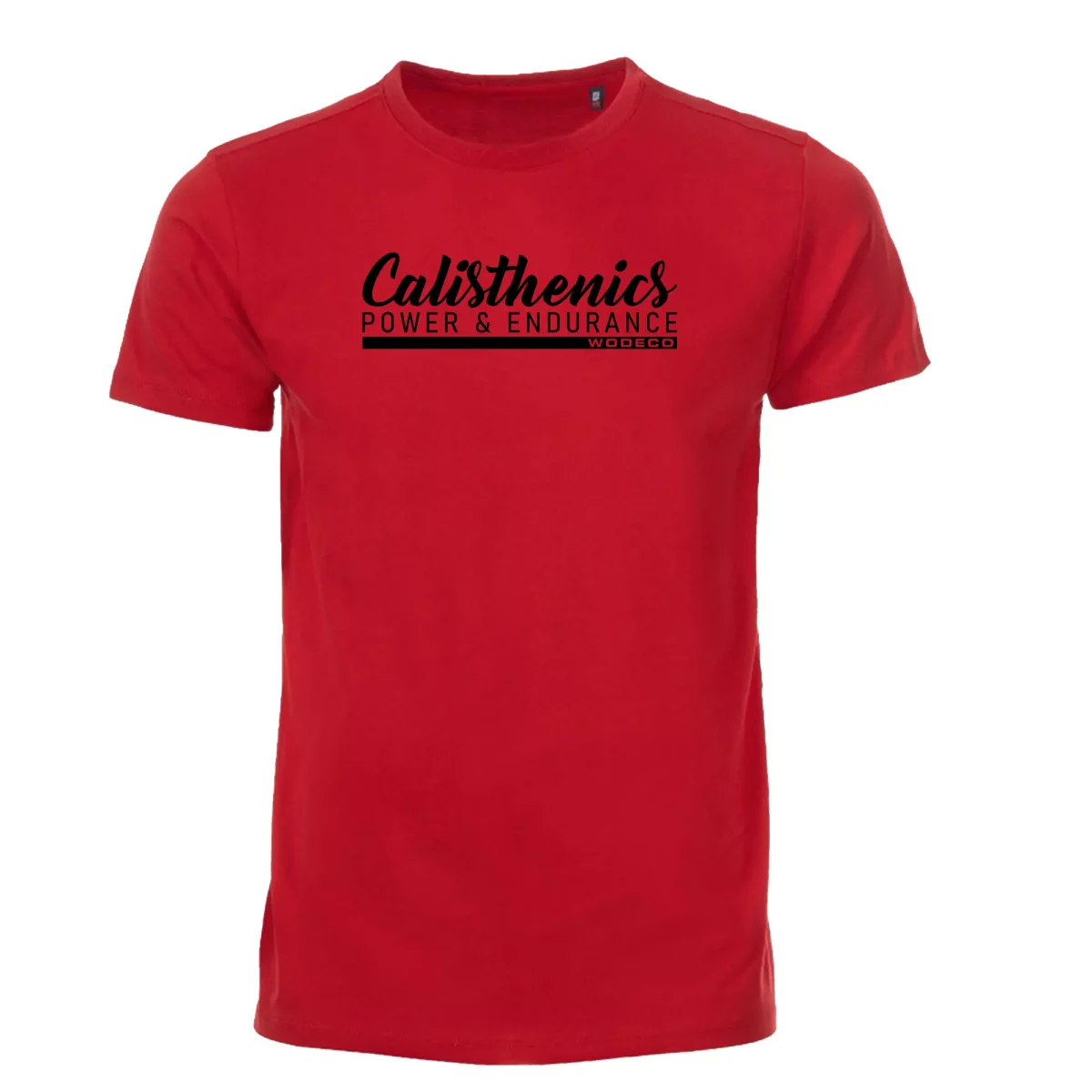 Calisthenics Tshirt - Görsel 2