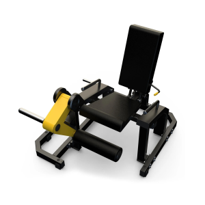 leg extension,