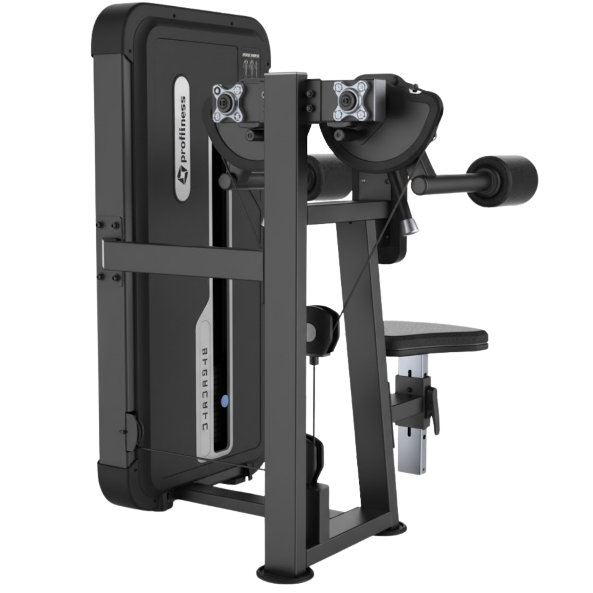 Profitness Lateral Raise