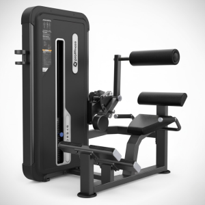 Profitness Back Extension