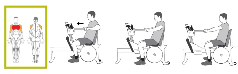 Concept2 StrengthErg ile oturarak yapılan itme (pres) egzersizinde çalışan ana kaslar: Göğüs (Pectoralis Major) ve Ön Omuz (Anterior Deltoid