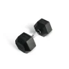 rubber hex dumbbell, dambıl